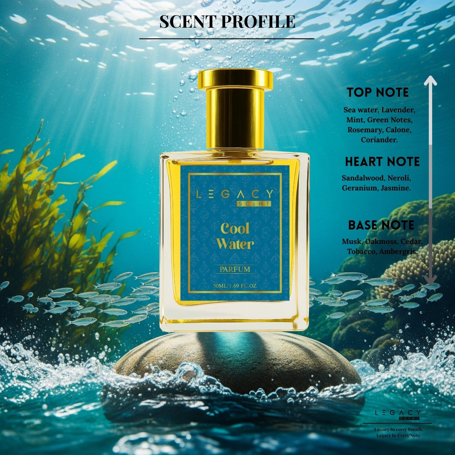 COOL WATER - Legacy Scent