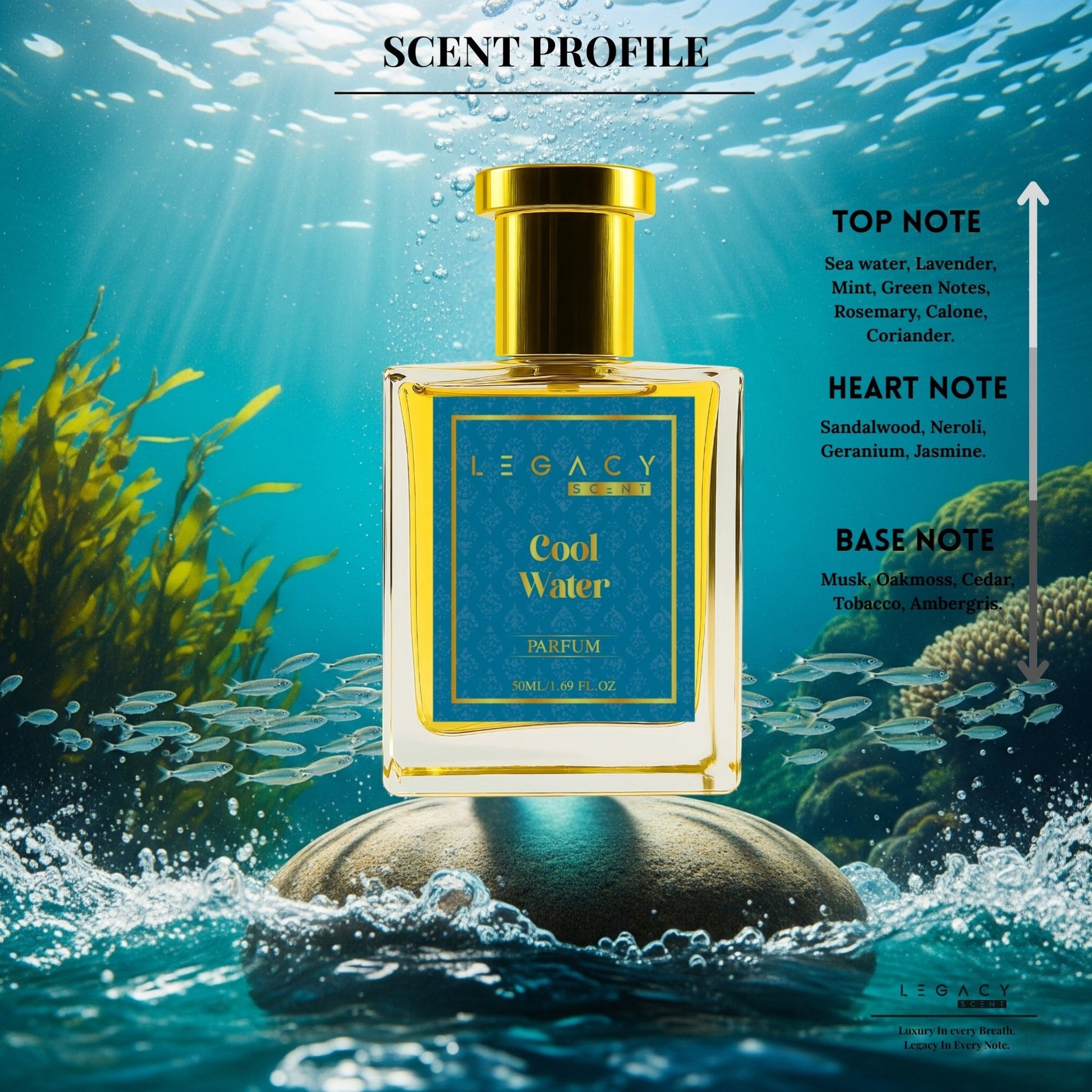COOL WATER - Legacy Scent